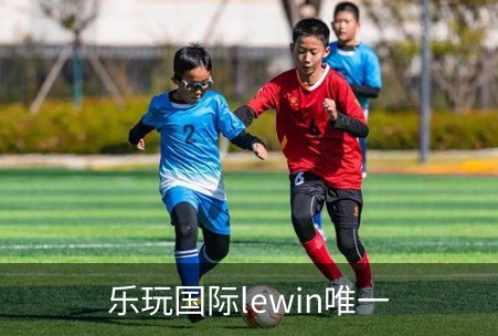 乐玩国际lewin唯一简介