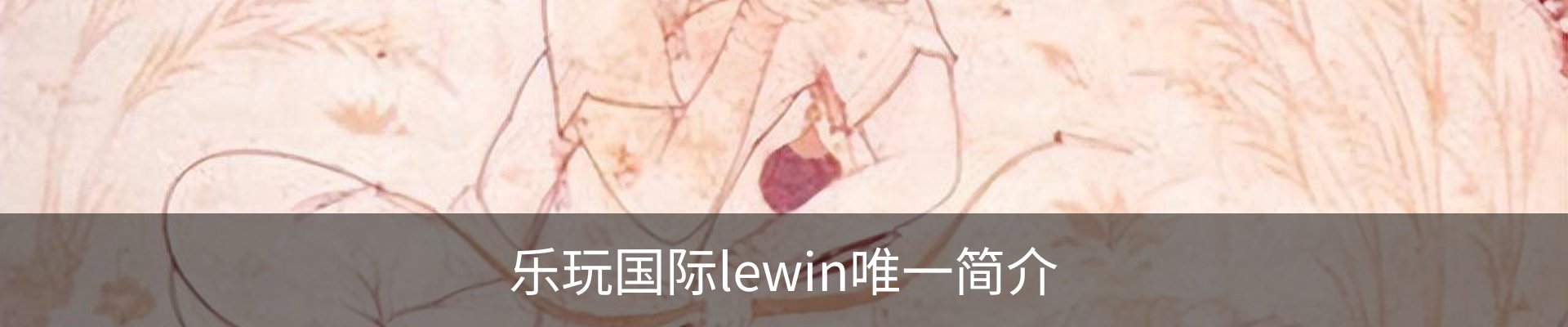 乐玩国际lewin唯一简介